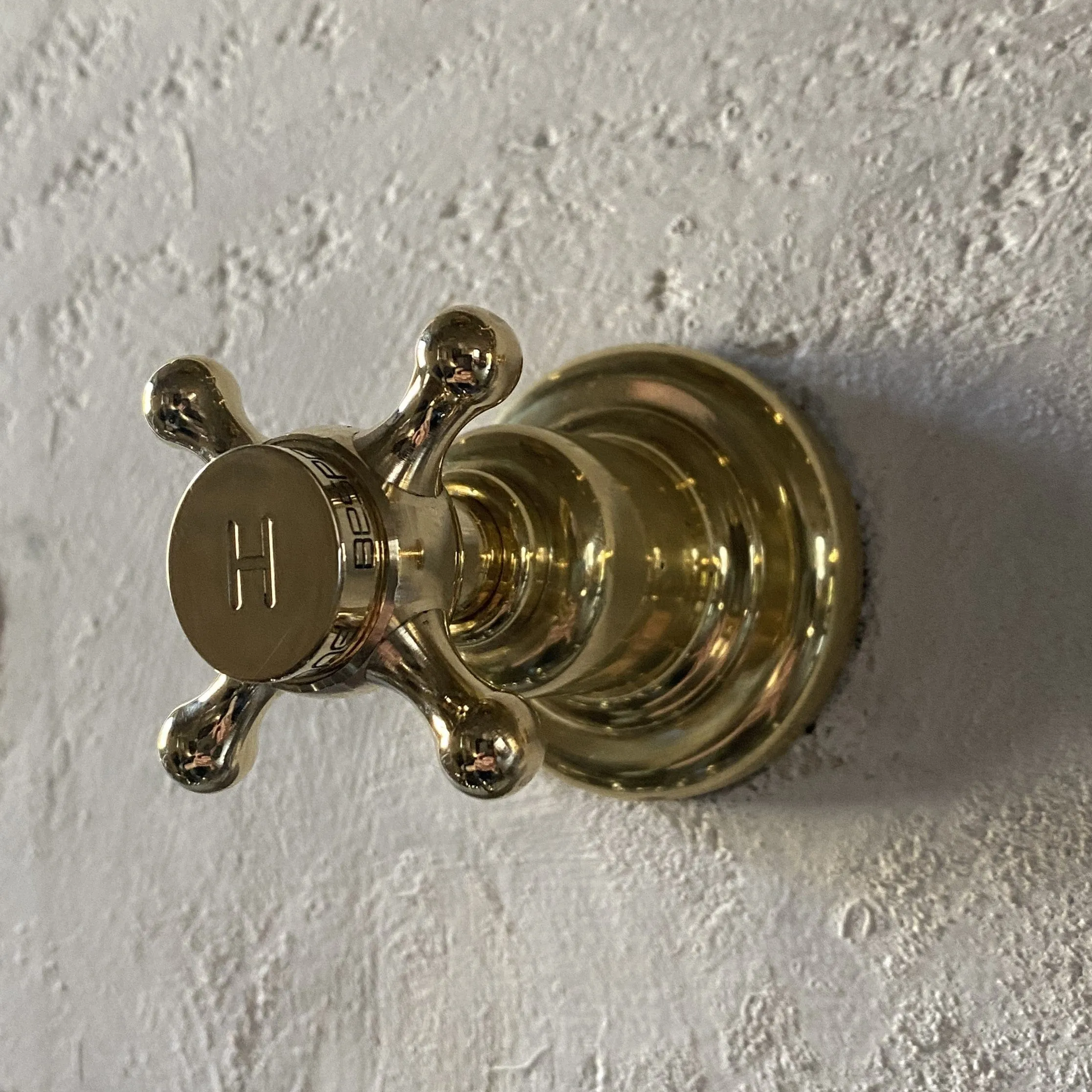 BT86 Wall mounted taps with Fish head