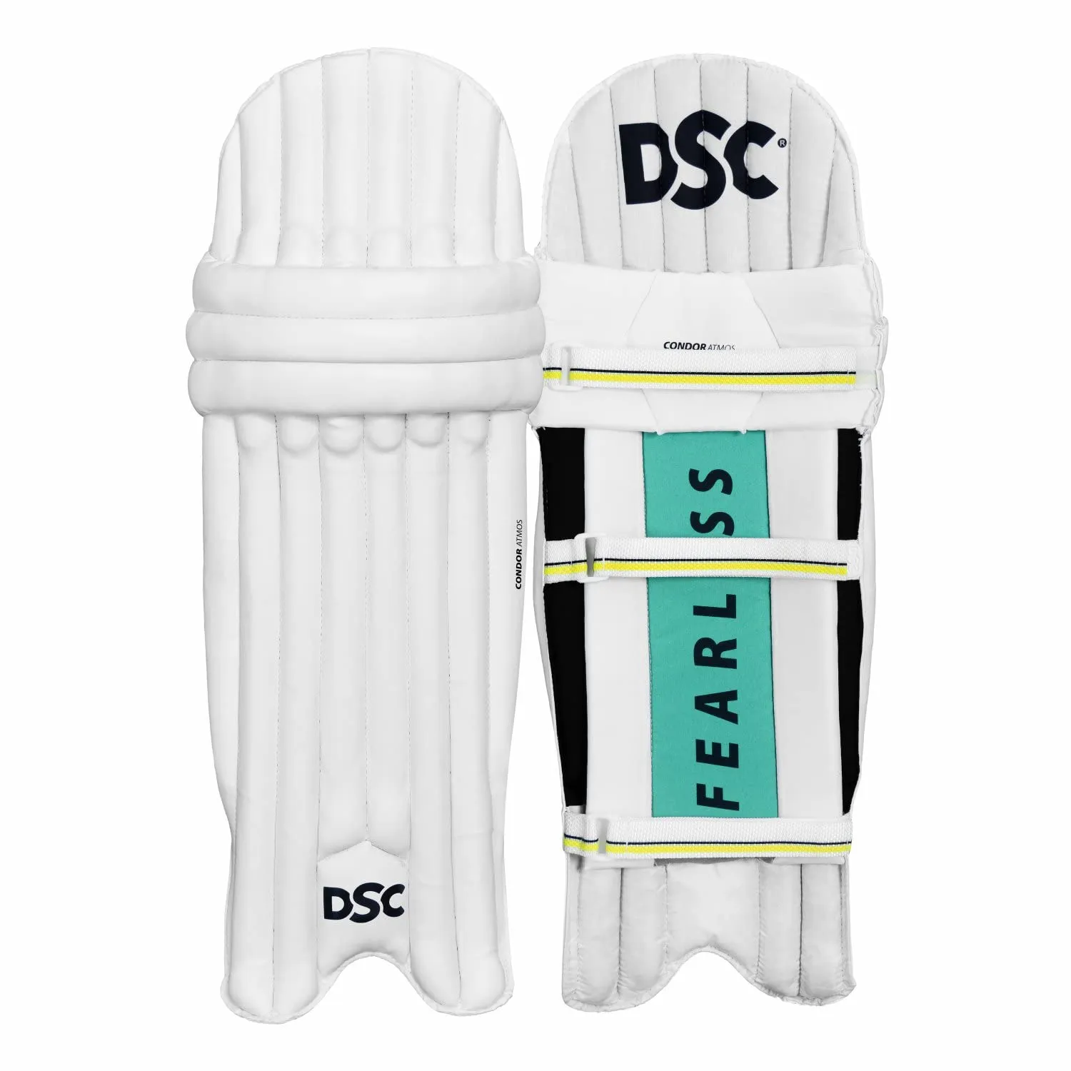 DSC Premium Range Kashmir Willow Cricket Kit with Helmet (Right Hand)