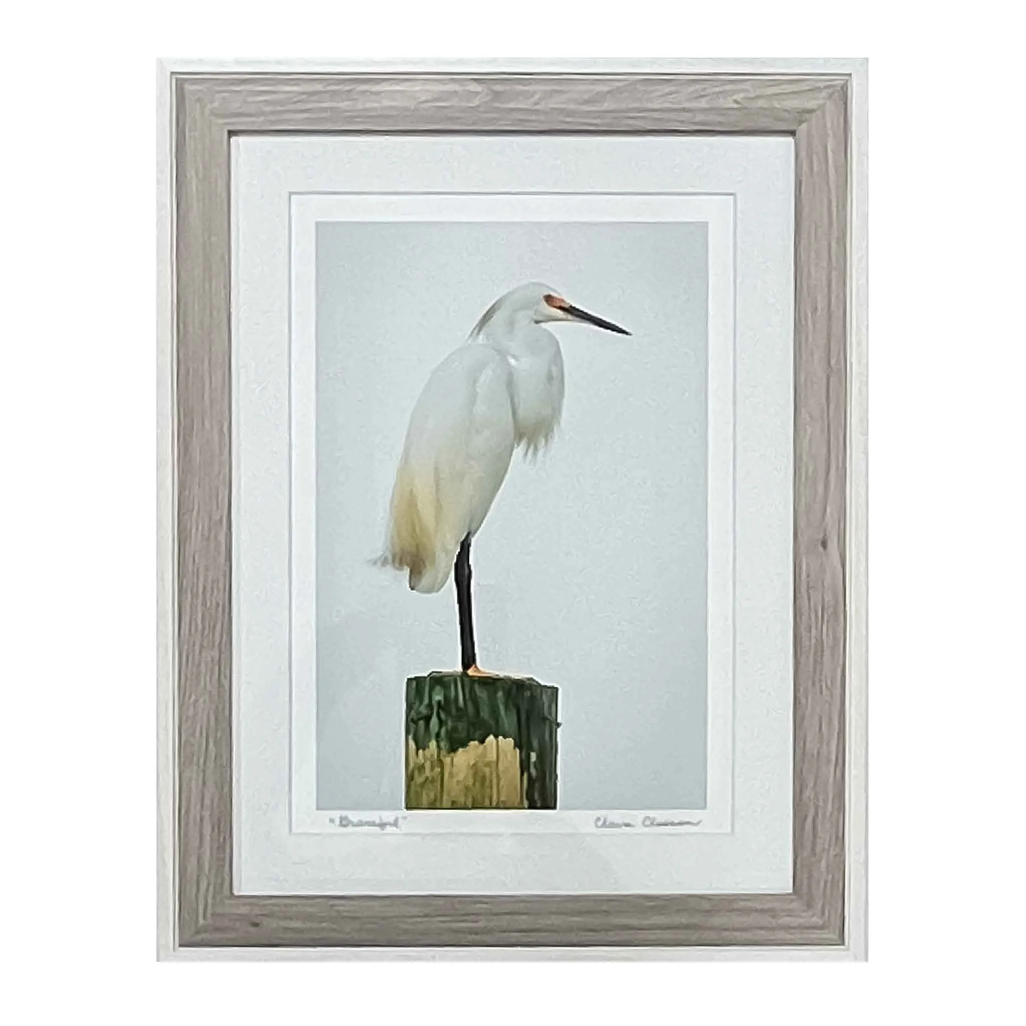 ECC “Graceful”  Framed Photographic Print