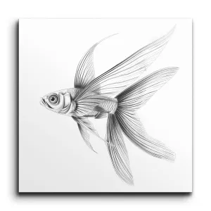 Graceful Angelfish Monochrome Art