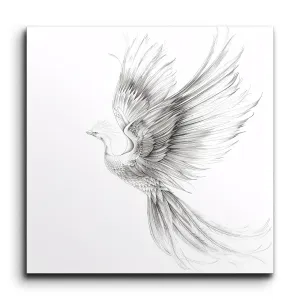 Graceful Bird in Flight: Elegant Monochrome Art