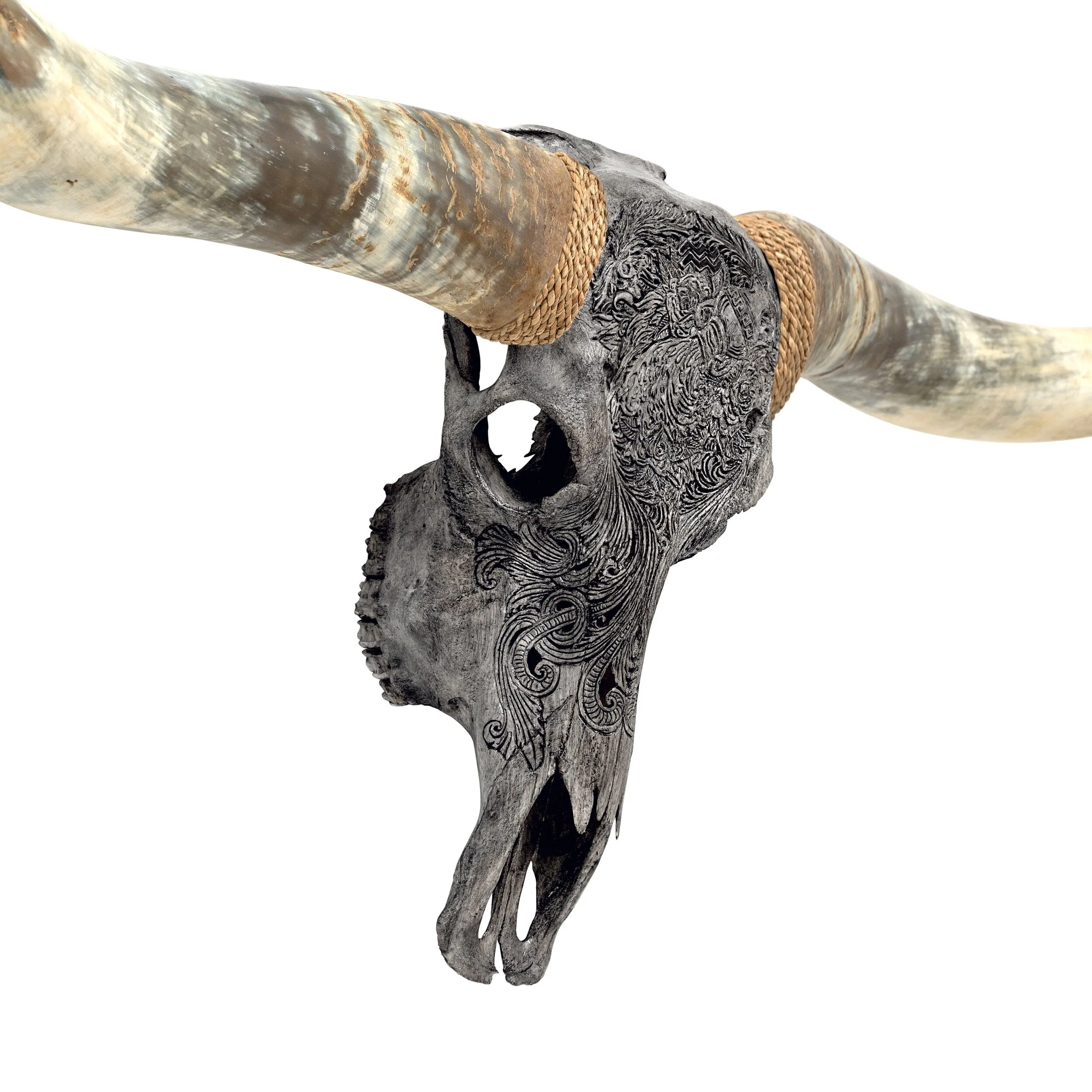 Hand Carved Longhorn Skull // XL Horns - Gray Aquarius