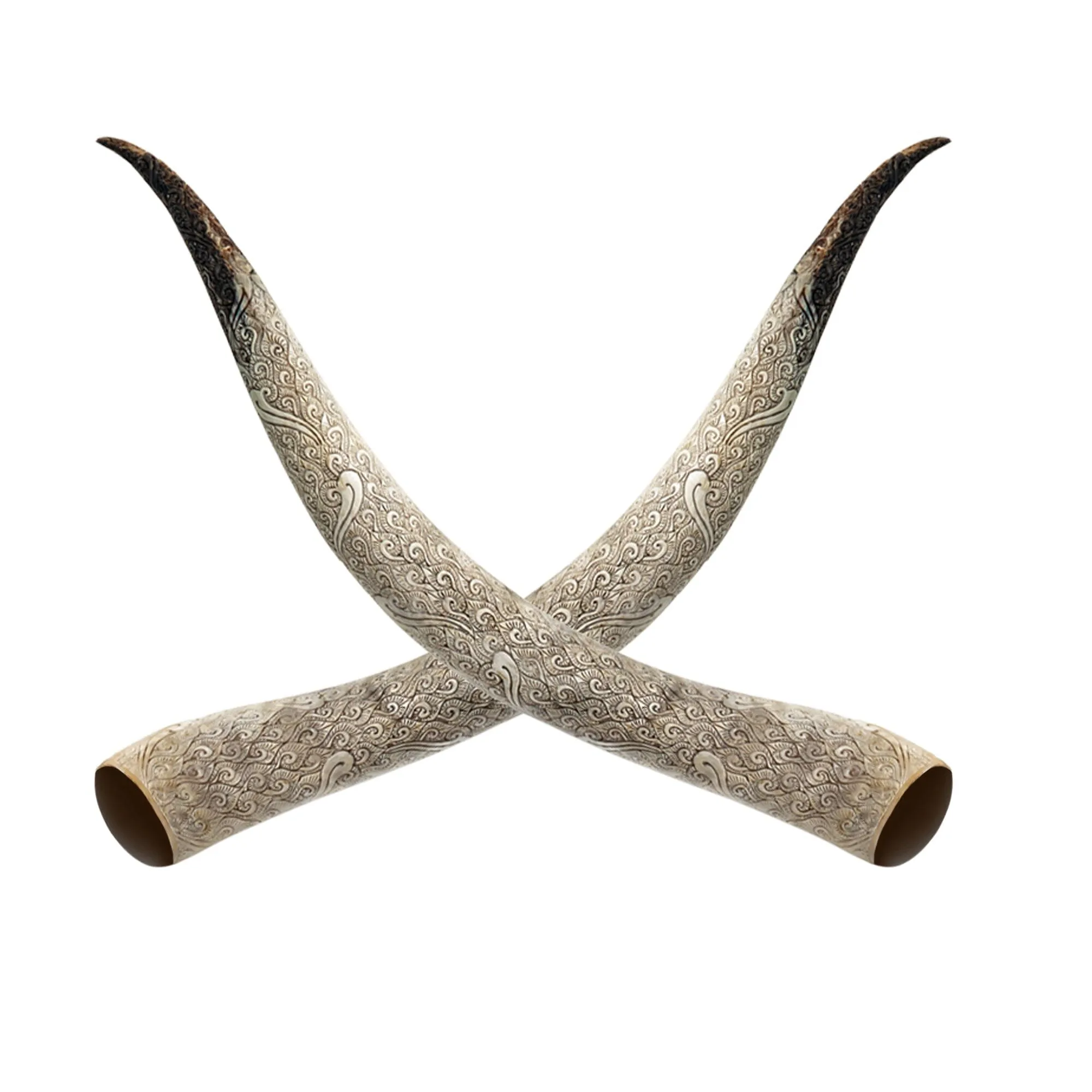 Hand Carved Longhorn Skull // XL Horns - Gray Aquarius