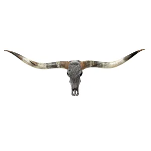 Hand Carved Longhorn Skull // XL Horns - Gray Aquarius