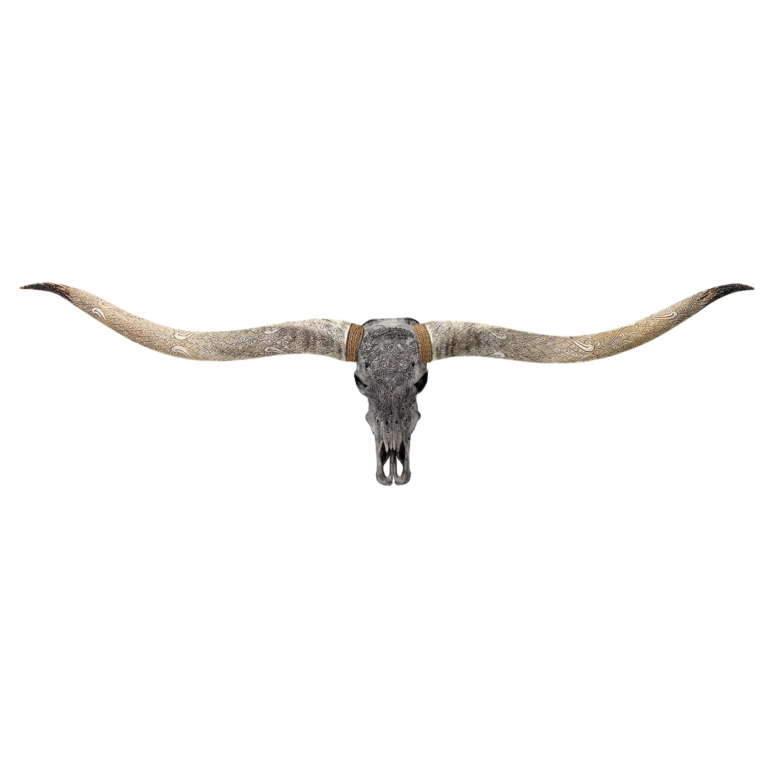 Hand Carved Longhorn Skull // XL Horns - Gray Aquarius