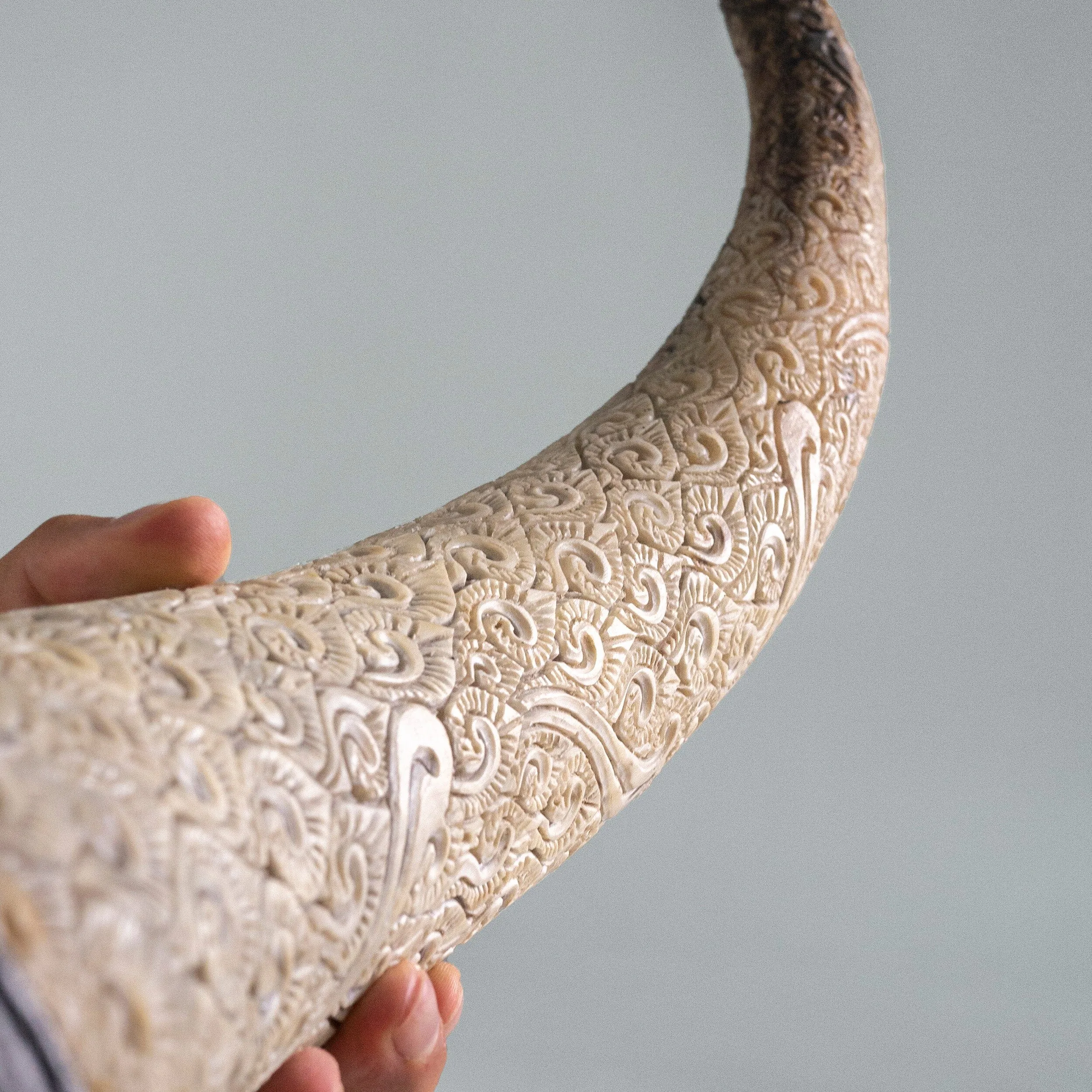 Hand Carved Longhorn Skull // XL Horns - Gray Aquarius