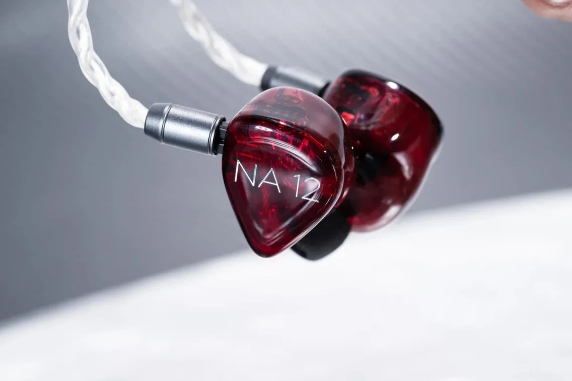 Nostalgia Audio NA 12 Flagship Model of Professional Series