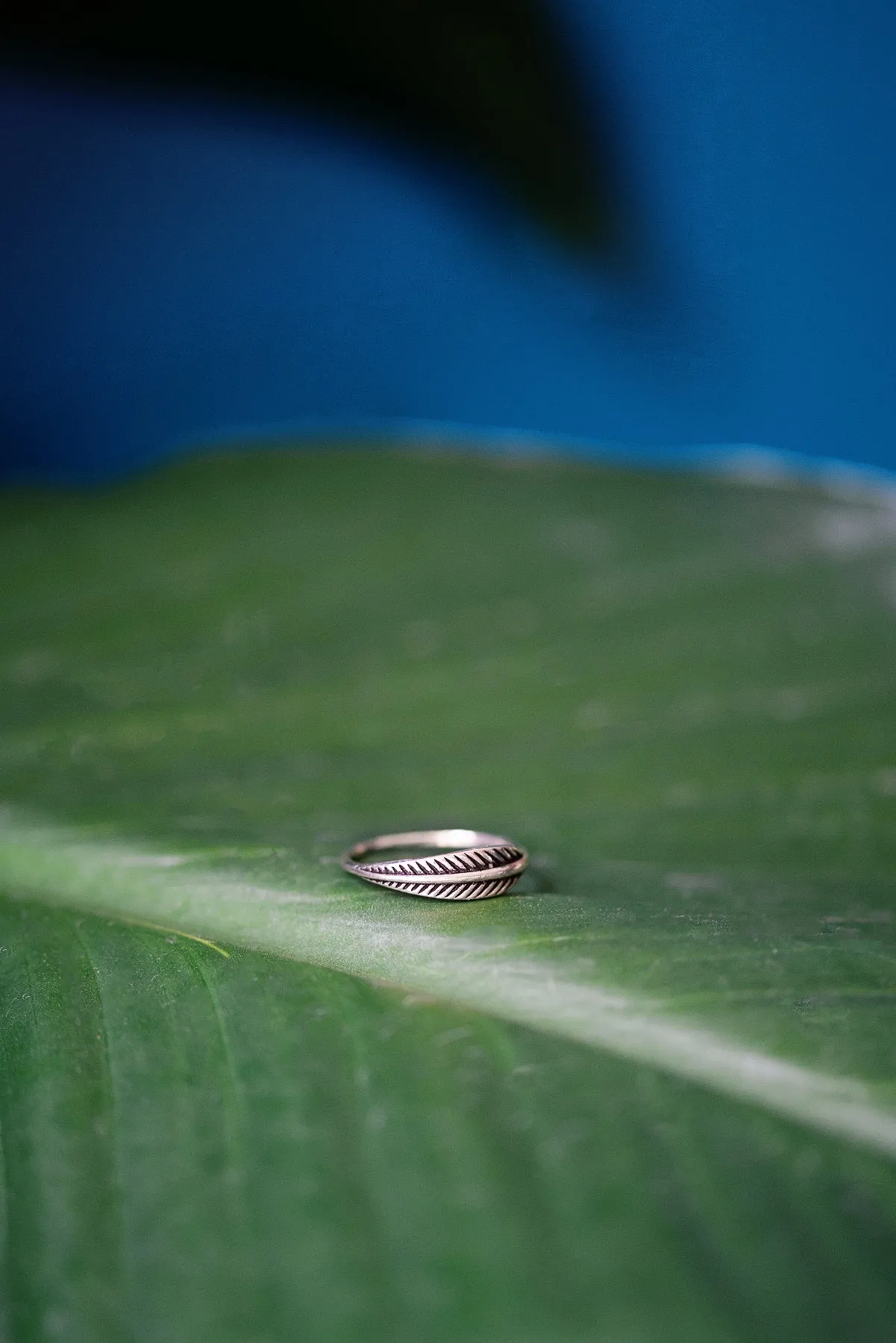 Sterling Leaf Ring - size 6