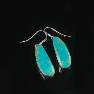 Sterling Silver & Turquoise Earrings